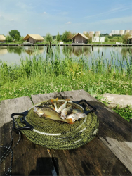 Рыбалка — фото 3