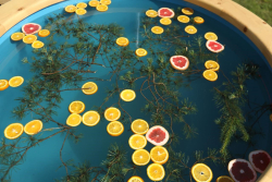 Горячий чан — фото 2