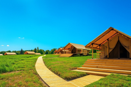 Носороги — фото