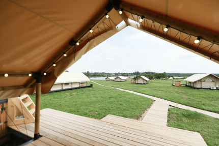 Носороги — фото