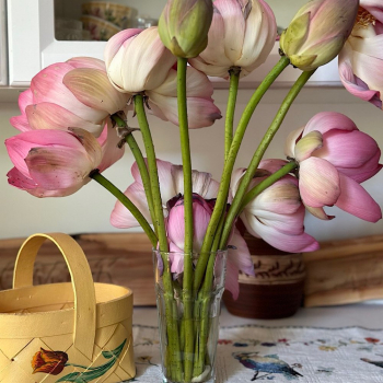 Основной дом — фото 11