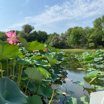 Мазанка — фото 20