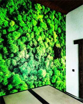 №4 Дом  — фото 6