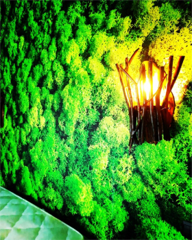 №4 Дом  — фото 7