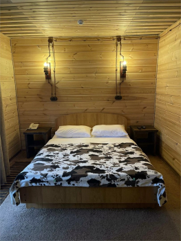 Номер Стандарт с двуспальной кроватью — фото 7