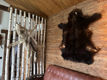 №4 Дом  — фото 3