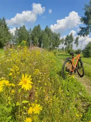 Велопрогулки — фото 1