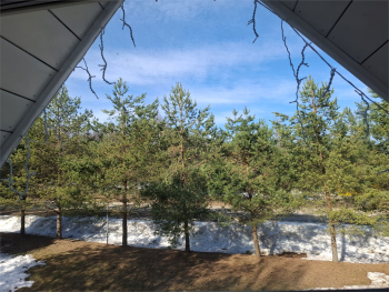 Коттедж  Клен — фото 18