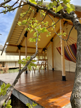 шатер 3 — фото 1