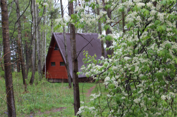 Домик A-Frame - Красный — фото 17