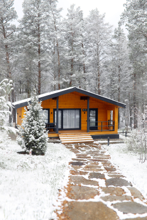 Forest Green — фото