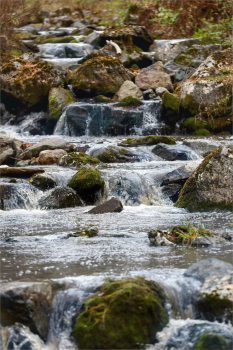 Коттедж — фото 11