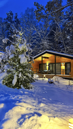 Forest Green — фото