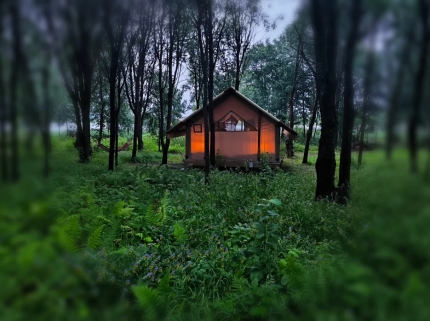 Sысhёvka Глэмпинг Парк — фото