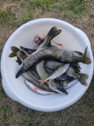 Рыбалка — фото 2