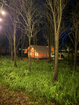 Sысhёvka Глэмпинг Парк — фото