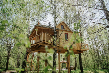 Папин дом — фото 10