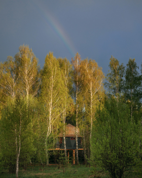Мамин дом — фото 12