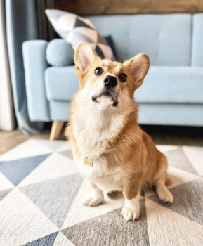 Домик 2 — фото 6