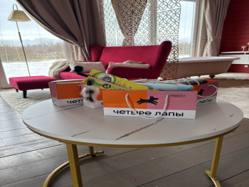 домик 1 с ванной у панорамного окна — фото 14