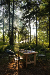 Мангальная зона — фото 1