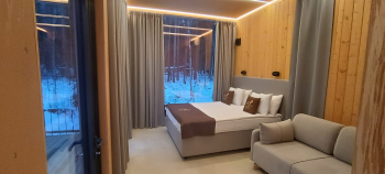 Фридом — фото 4