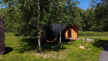 Домик среди берёз — фото 1