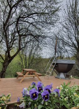 Зеленый дом — фото 8