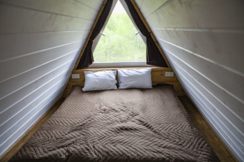 Зеленый дом — фото 2