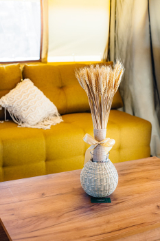 Бунгало Стандарт — фото 2