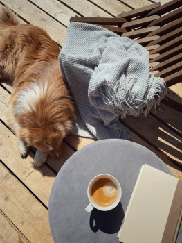 Бисквит — фото 20