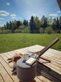 Сканди — фото 16