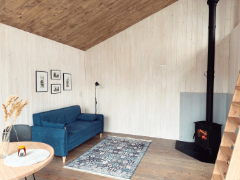 Черника — фото 5