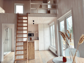 Черника — фото 12