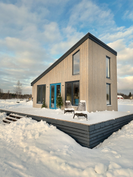 Черника — фото 2