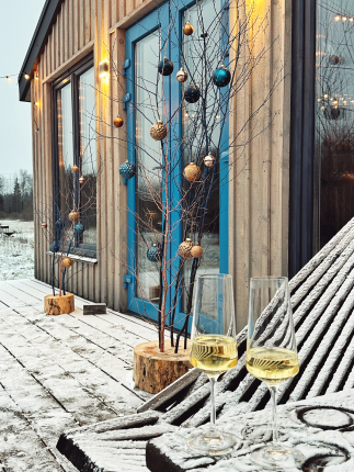 Родионова Дача — фото