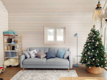 Сканди — фото 5