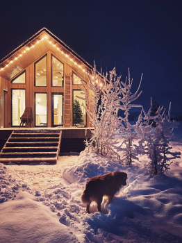 Сканди — фото 2