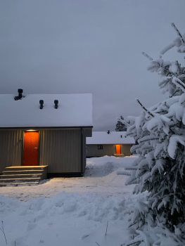 Бисквит — фото 11