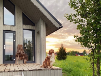 Сканди — фото 17