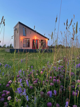 Брусника — фото 15