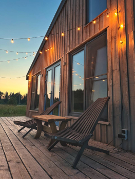 Брусника — фото 3