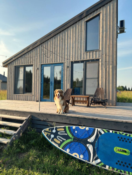 Черника — фото 13