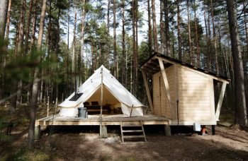 Улучшенный шатер в хвойном лесу — фото 1