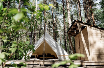 Улучшенный шатер в хвойном лесу — фото 2