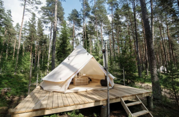 Стандартный шатер в хвойном лесу — фото 2