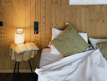 Гео-купол на 2 линии — фото 3