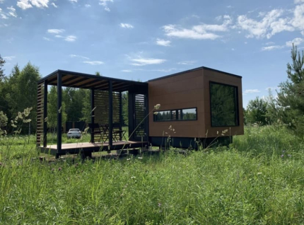 Папоротник — фото