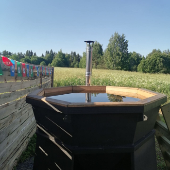 Сфера Сису — фото 3