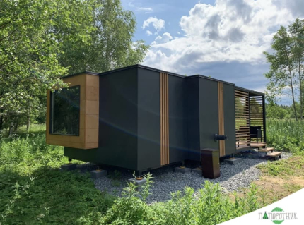 Папоротник — фото